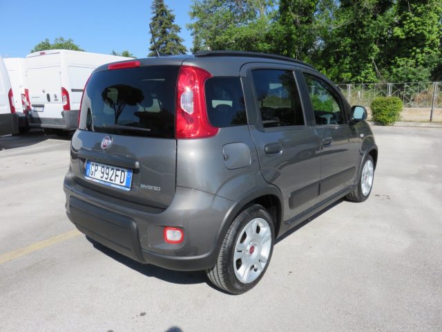 Fiat Panda 1.0 FireFly S&S Hybrid City Life - foto 4 di 4