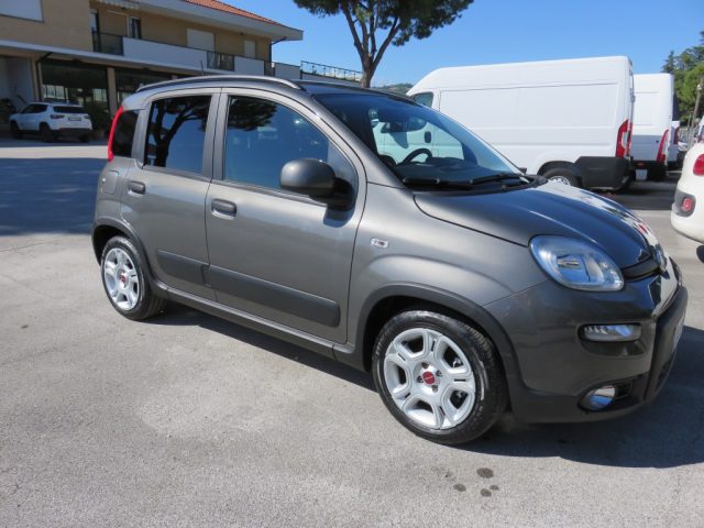 Fiat Panda 1.0 FireFly S&S Hybrid City Life usato a TOLENTINO