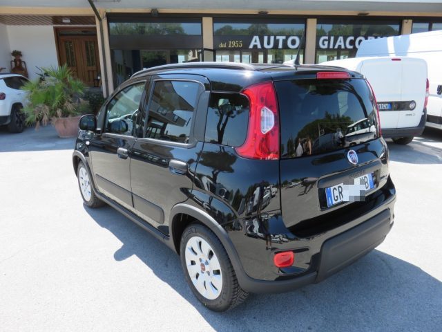 Fiat Panda 1.0 FireFly S&S Hybrid City Life - foto 2 di 4