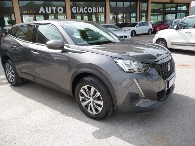 Peugeot 2008 BlueHDi 110 S&S Active usato a TOLENTINO