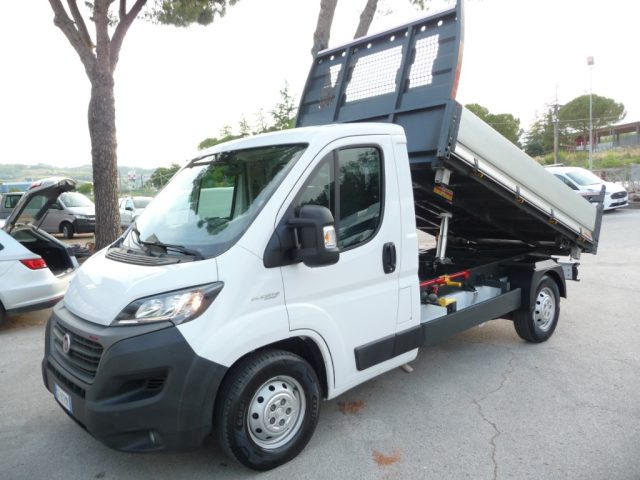 Fiat Ducato 35 2.3 MJT 160CV PLM Cabinato Maxi RIBALTABILE usato a TOLENTINO