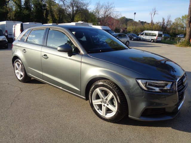Audi A3 SPB 30 TDI Business usato a TOLENTINO