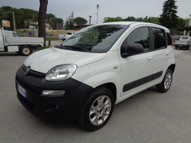 Fiat Panda 1.3 MJT 4x4 Pop Van 2 posti EURO6 usato a TOLENTINO
