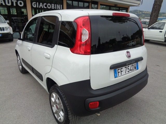 Fiat Panda 1.3 MJT 4x4 Pop Van 2 posti EURO6, del 2016, 80.000 km, in vendita a Tolentino (MC)