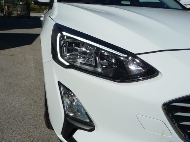 Ford Focus 1.5 EcoBlue 120 CV automatico SW Business Co-Pilot, del 2020, 64.000 km, in vendita a Tolentino (MC)