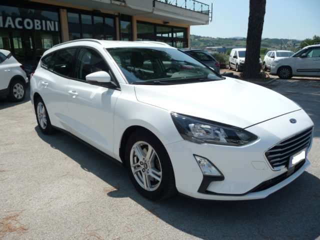 Ford Focus 1.5 EcoBlue 120 CV automatico SW Business Co-Pilot - foto 4 di 4