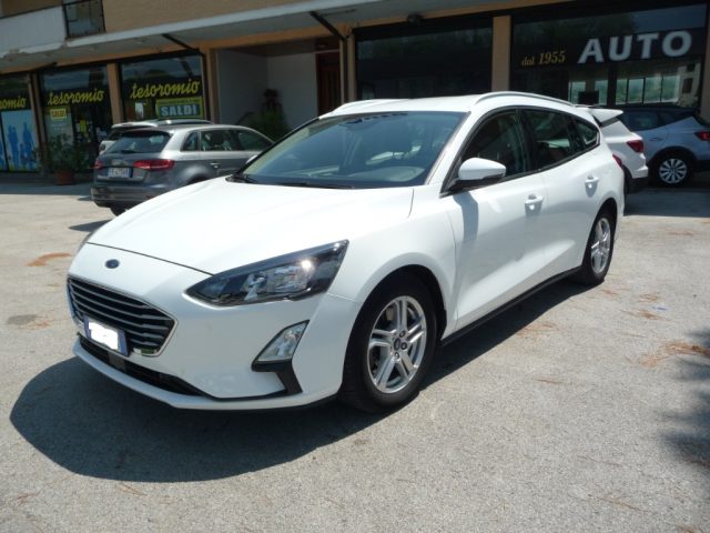 Ford Focus 1.5 EcoBlue 120 CV automatico SW Business Co-Pilot usato a TOLENTINO