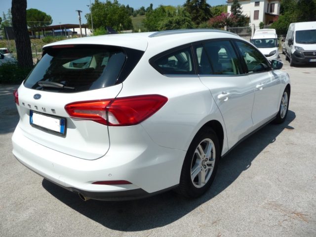 Ford Focus 1.5 EcoBlue 120 CV automatico SW Business Co-Pilot - foto 3 di 4