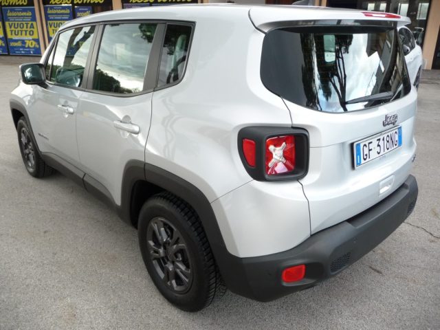 Jeep Renegade 1.6 Mjt 130 CV Business usato a TOLENTINO