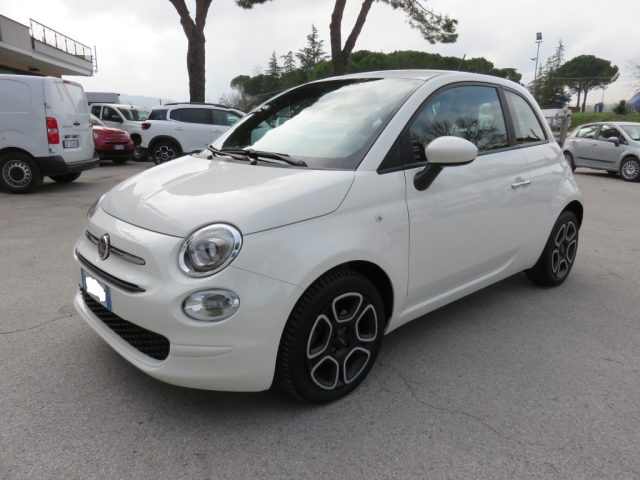 Fiat 500 1.0 Hybrid usato a TOLENTINO