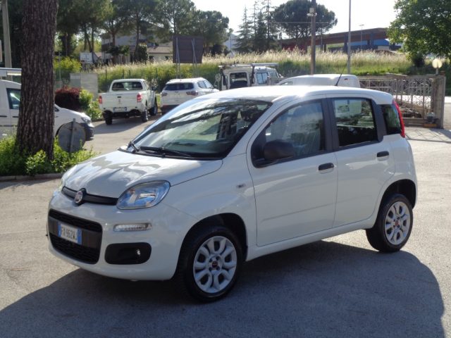 Fiat Panda 0.9 TwinAir Turbo Natural Power Easy usato a TOLENTINO