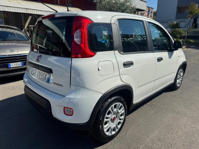 Fiat Panda 1.0 FireFly S&S Hybrid - foto 4 di 4