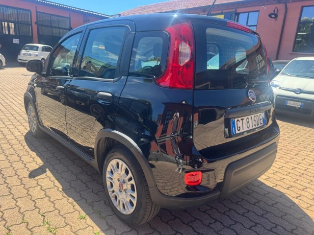 Fiat Panda 1.0 FireFly S&S Hybrid - foto 4 di 4