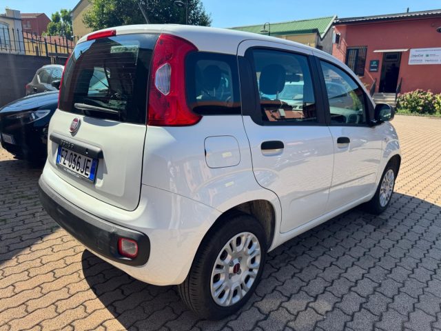 Fiat Panda 1.2 Easy Van 4 posti (AUTOCARRO N1) - foto 4 di 4