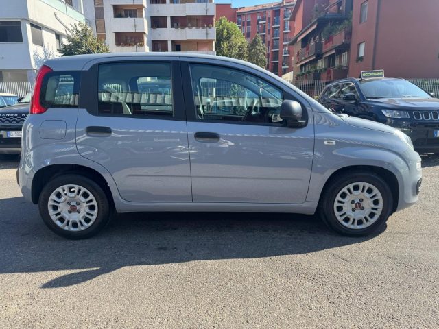 Fiat Panda 1.0 FireFly S&S HYBRID - foto 4 di 4