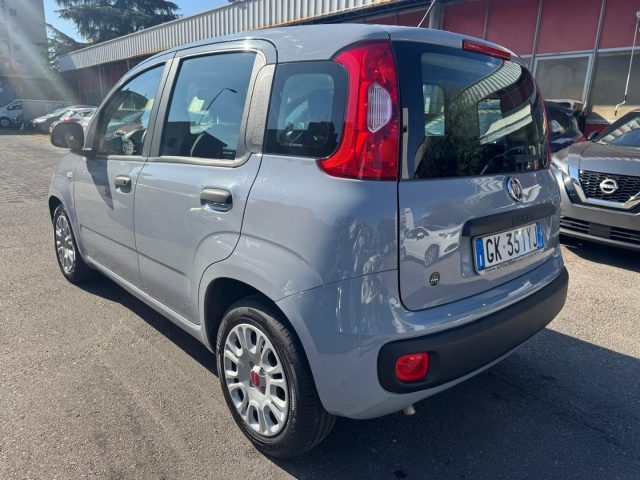 Fiat Panda 1.0 FireFly S&S HYBRID - foto 3 di 4