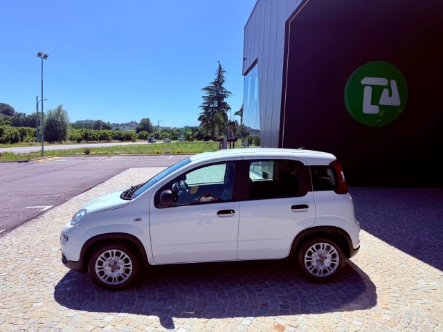 Fiat New Panda KM 9.000 - BLUETOOTH - 5 POSTI - NO OBBLIGO FINANZ - foto 4 di 4