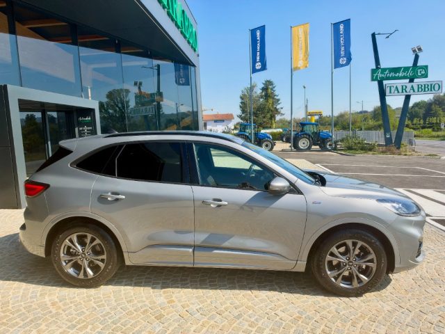 Ford Kuga 1.5 150CV - ST LINE - KM 67.000 - NO OBBLIGO FINAN - foto 3 di 4