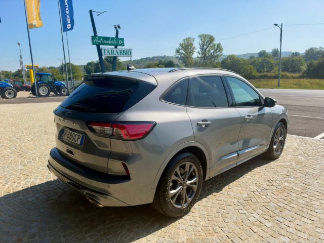 Ford Kuga 1.5 150CV - ST LINE - KM 67.000 - NO OBBLIGO FINAN - foto 4 di 4