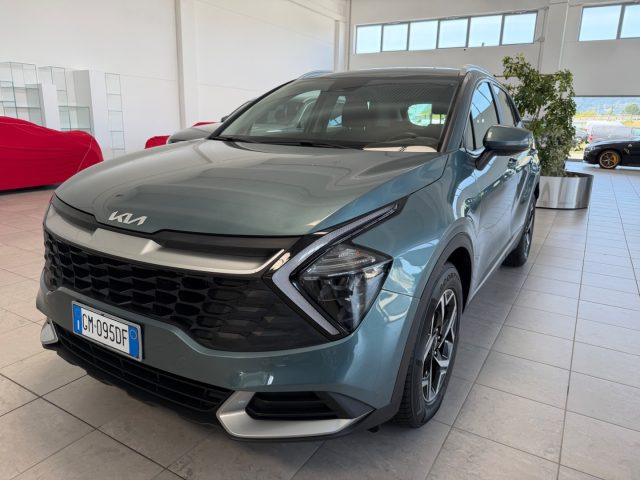 Kia Sportage 1.6 CRDi MHEV DCT Business usato a GEMONA DEL FRIULI