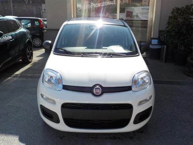 Fiat Panda MY25 - 1.0 FireFly Hybrid POP nuovo a TORRE DEL GRECO