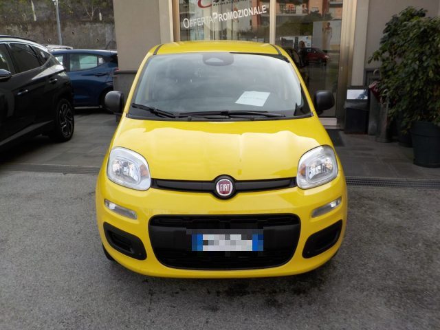 Fiat Panda MY25 - 1.0 FireFly Hybrid POP nuovo a TORRE DEL GRECO