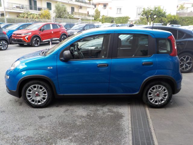 Fiat Panda MY25 - 1.0 FireFly Hybrid POP nuovo a TORRE DEL GRECO