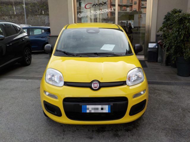 Fiat Panda MY25 - 1.0 FireFly Hybrid ICON nuovo a TORRE DEL GRECO