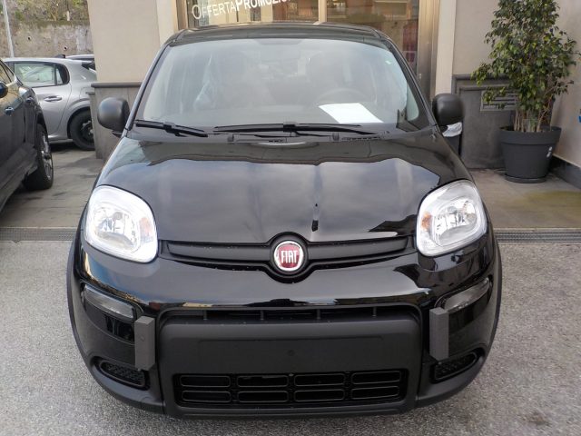 Fiat Panda MY25 - 1.0 FireFly Hybrid ICON - foto 2 di 15