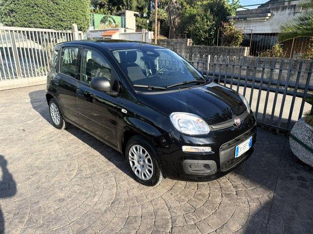 Fiat Panda 1.0 FireFly S&S Hybrid Pandina usato a FISCIANO