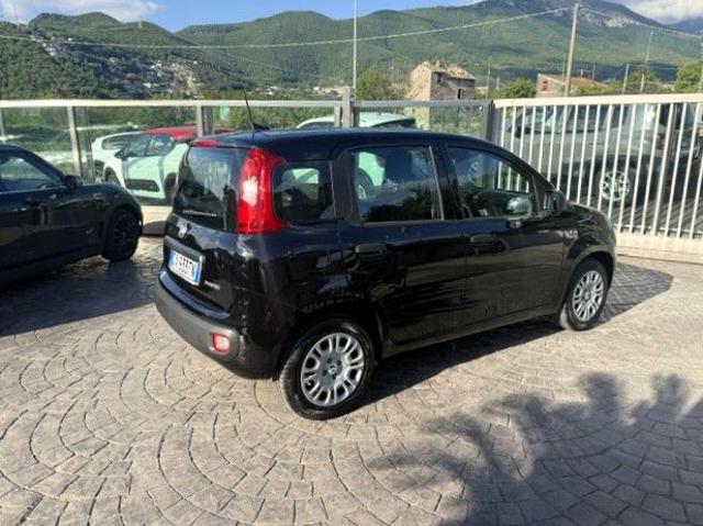 Fiat Panda 1.0 FireFly S&S Hybrid Pandina - foto 3 di 4