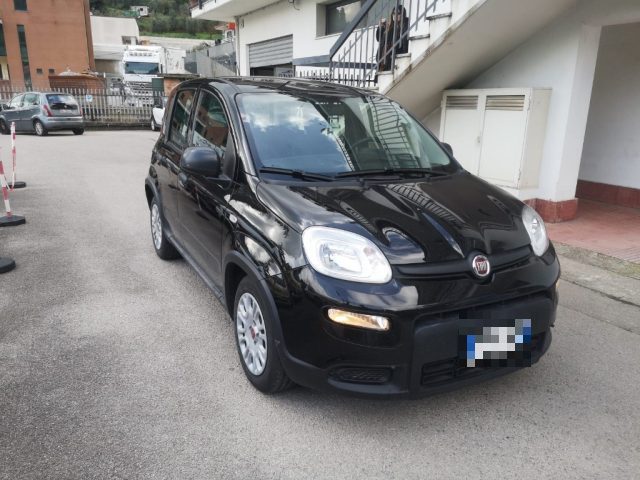 Fiat Panda 1.0 FireFly S&S Hybrid usato a ITRI