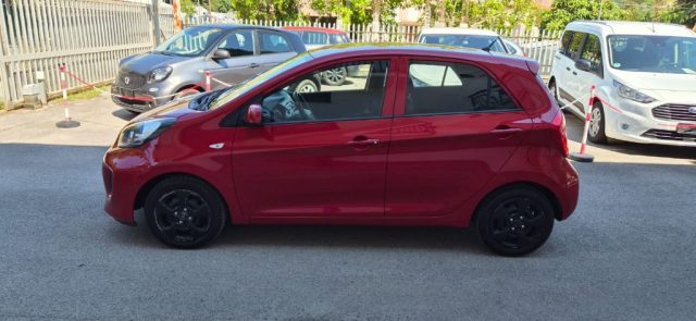 Kia Picanto 1.0 5 porte Active - foto 3 di 4