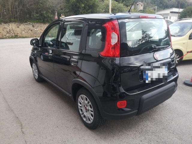 Fiat Panda 1.0 FireFly S&S Hybrid - foto 4 di 4