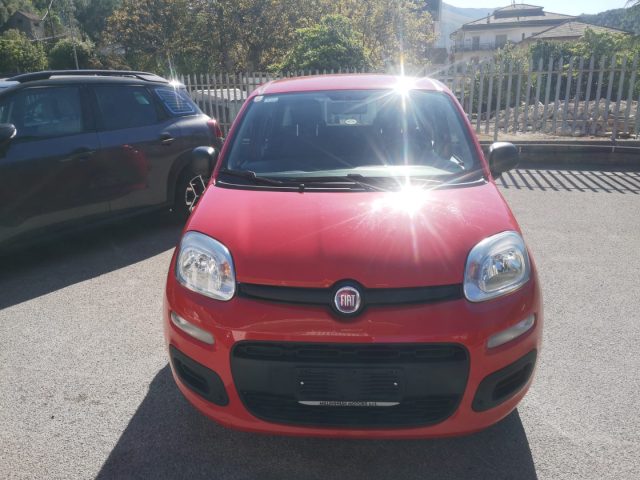 Fiat Panda 1.2 Easy - foto 4 di 4