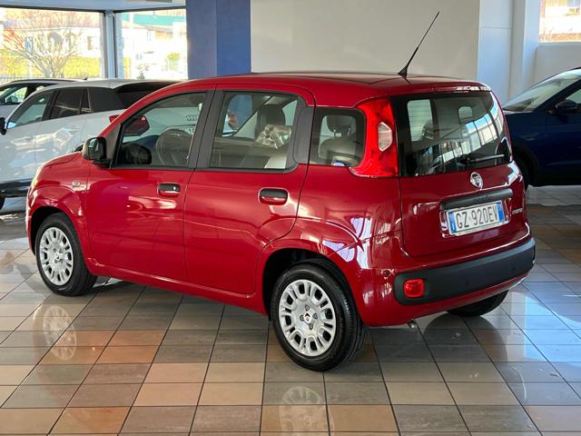 Fiat Panda 1.0 FireFly S&S Hybrid - foto 3 di 4
