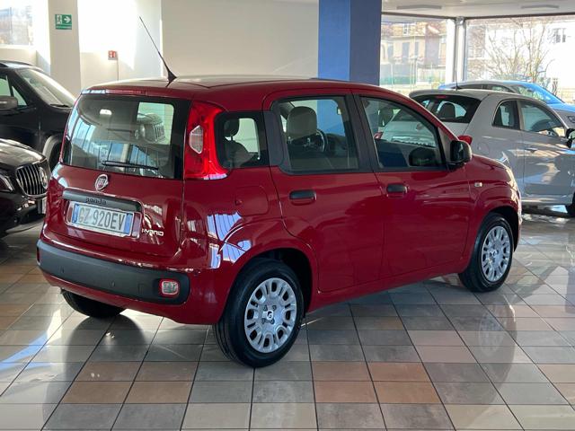 Fiat Panda 1.0 FireFly S&S Hybrid - foto 4 di 4