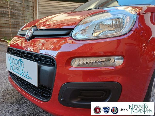 Fiat Panda 1.0 FireFly S&S Hybrid Icon 5�Posto Auto Nuova - foto 2 di 4