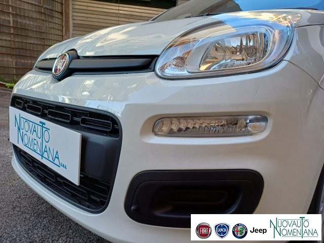 Fiat Panda 1.0 FireFly S&S Hybrid Icon 5�Posto Auto Nuova - foto 3 di 4