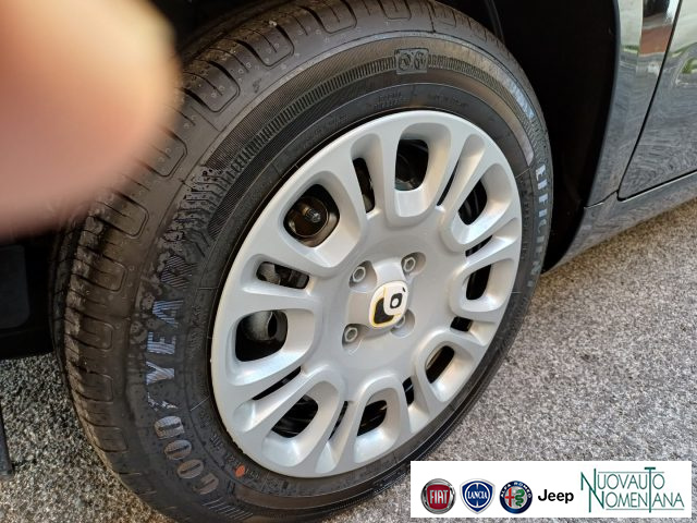 Fiat Panda 1.0 FireFly S&S Hybrid Icon 5�Posto Auto Nuova - foto 4 di 4