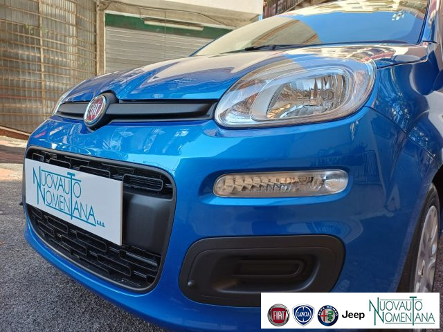 Fiat Panda 1.0 FireFly S&S Hybrid Icon 5°posto Auto Nuova KM0 - foto 3 di 4