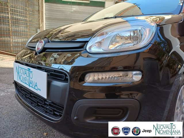 Fiat Panda 1.0 FireFly S&S Hybrid Icon 5°posto Auto Nuova KM0 - foto 3 di 4