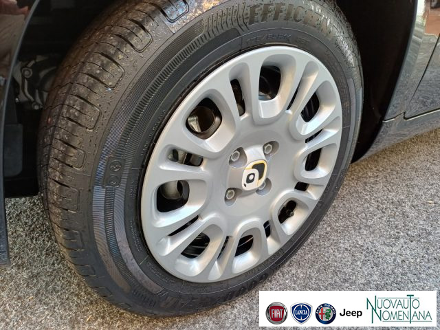 Fiat Panda 1.0 FireFly S&S Hybrid Icon 5°posto Auto Nuova KM0 - foto 4 di 4