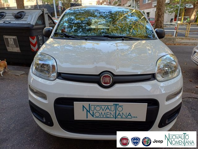 Fiat Panda Pandina 1.0 FireFly S&S Hybrid Icon Km0 - foto 4 di 4