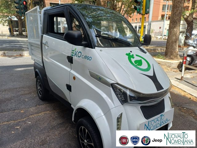 Piaggio Porter NP6 RUNHORSE MINI TRUK ELETTRICO L6 COME NUOVO - foto 3 di 4