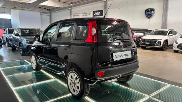 Fiat Panda 0.9 TwinAir Turbo Natural Power Easy - foto 3 di 4