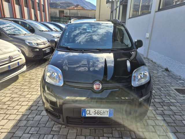 Fiat Panda Panda 1.0 firefly hybrid City Life usato a LECCO
