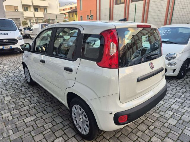 Fiat Panda Panda 1.0 firefly hybrid s - foto 4 di 4