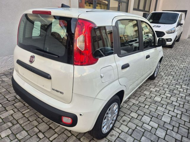 Fiat Panda Panda 1.0 firefly hybrid s - foto 3 di 4