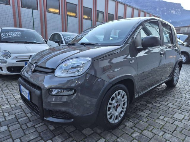 Fiat Panda Panda 1.0 firefly hybrid s&s 70cv - foto 3 di 4